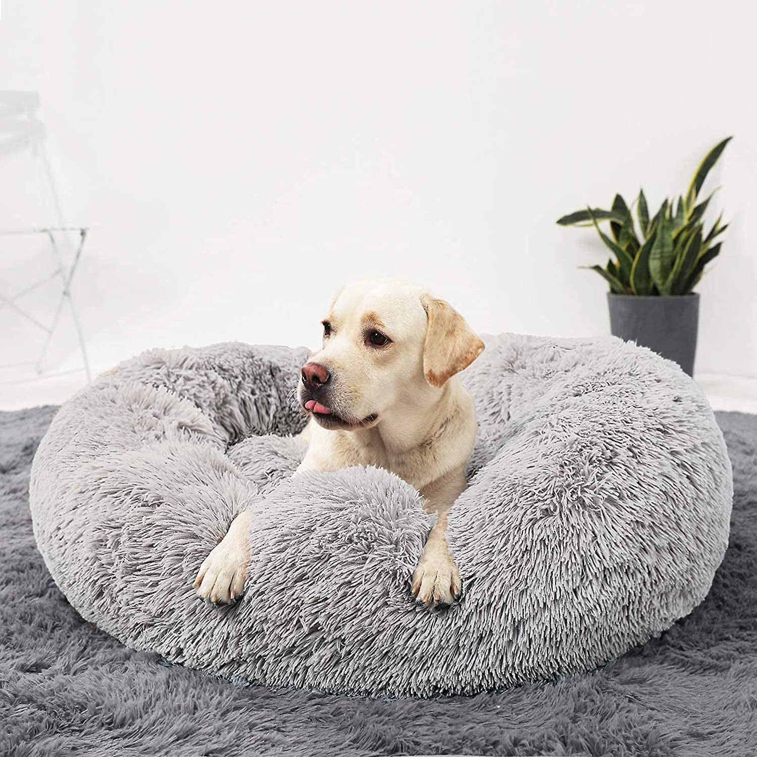 Calming Donut Dog Beds Cuddler, Dog Beds for Medium Large Dogs, Indoor Dog Calming Beds Large,30''