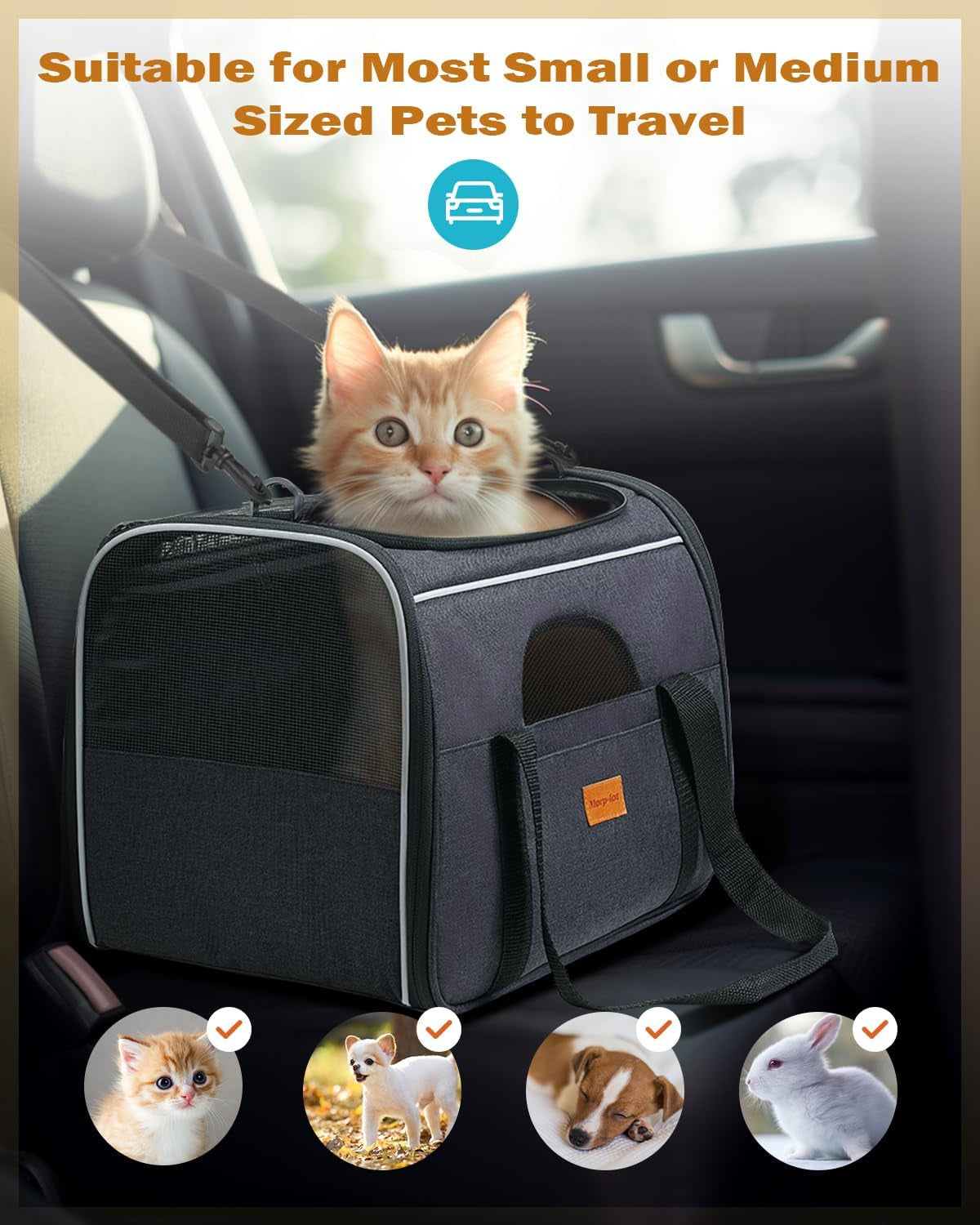 Cat Carrier - Soft Sided Cat Carrier Large for Big Medium Cats and Puppy up to 15Lbs, Pet Carrier with Safety Zippers, Foldable Bowl, Airline Approved Large Cat Carrier - Dark Gray